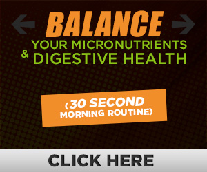 14 day fat loss plan dr kareem pdf