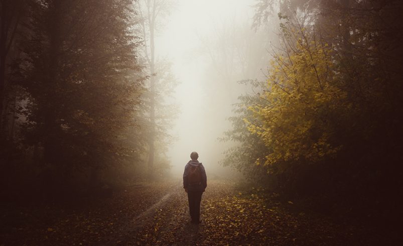 The “Fog”