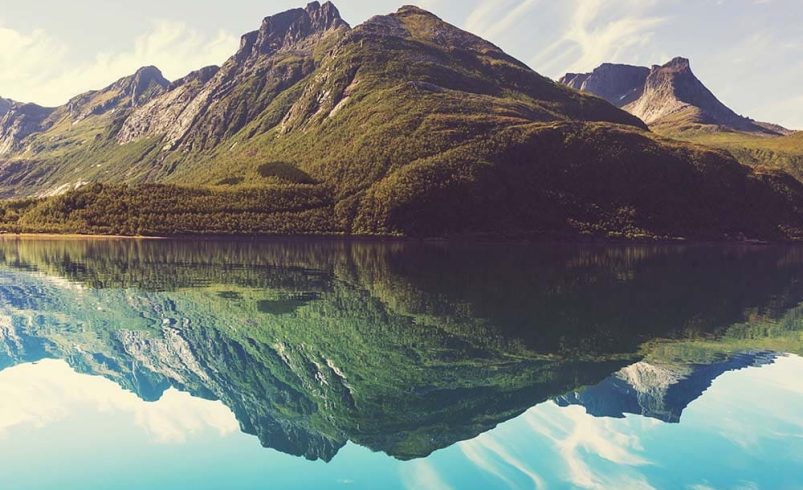 Reflection