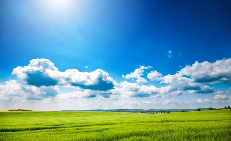 Sky