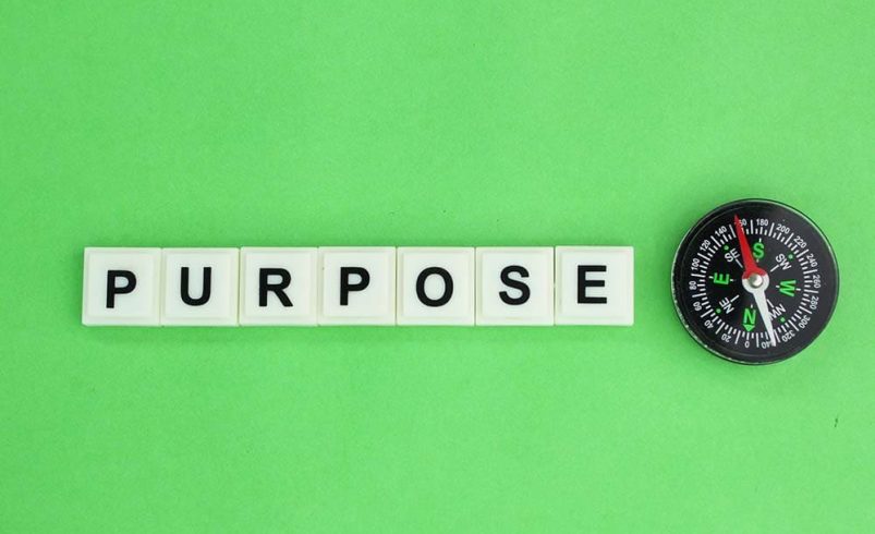 Purpose