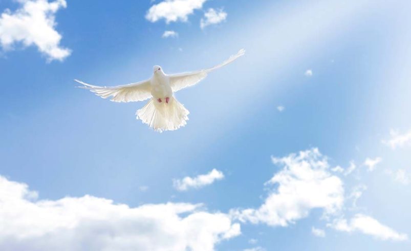 Divinity