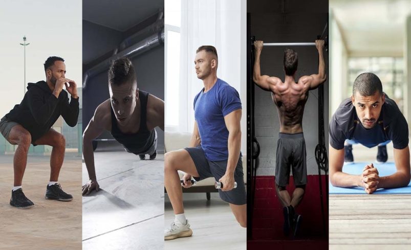 Fat Loss Metamorphosis