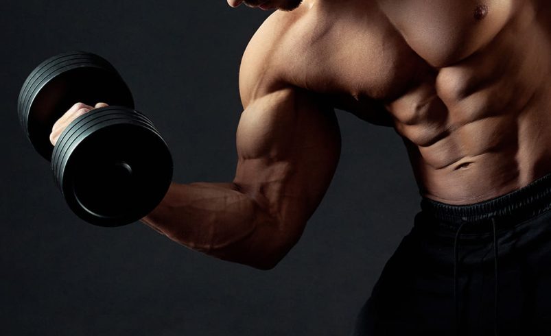 How Muscle Works And Why You Get Knots